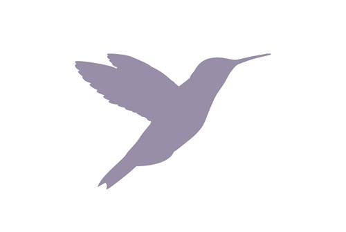 the purple bird scheme